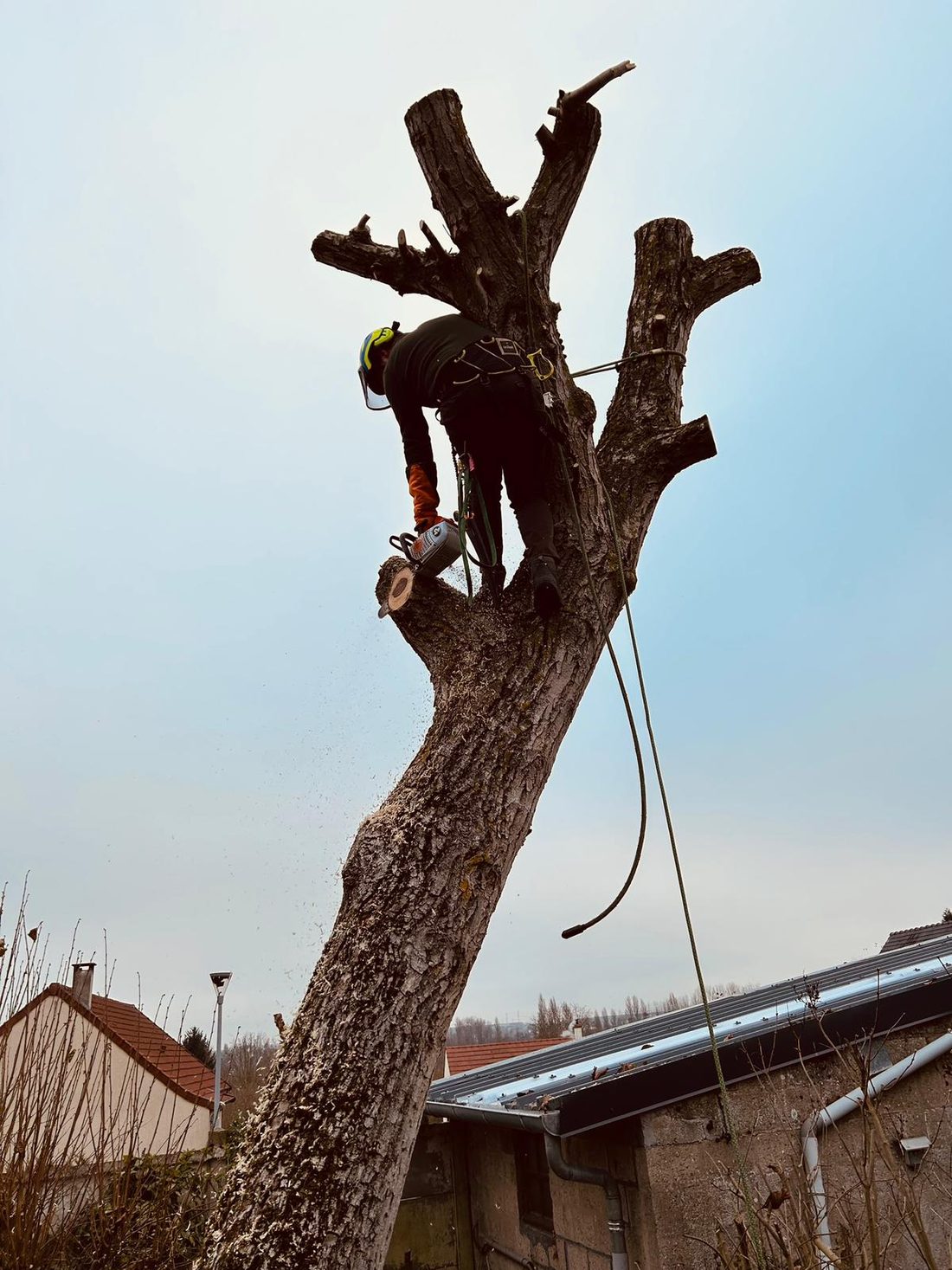 Démontage d'un grand sujet